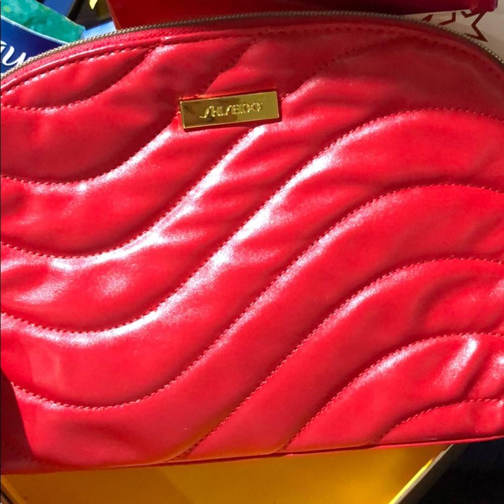 Beautiful shiseido bag